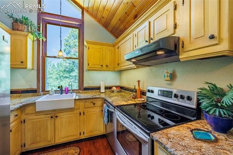 Tiny photo for 100 Yale Place, Woodland Park, CO 80863 (MLS # 1695350)