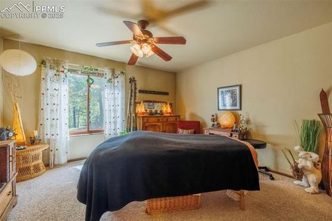 Tiny photo for 100 Yale Place, Woodland Park, CO 80863 (MLS # 1695350)