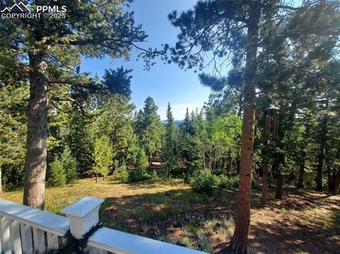 Tiny photo for 100 Yale Place, Woodland Park, CO 80863 (MLS # 1695350)