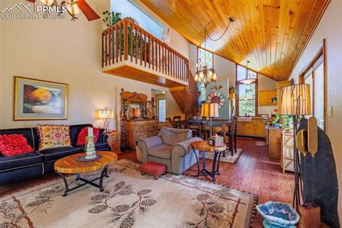 Tiny photo for 100 Yale Place, Woodland Park, CO 80863 (MLS # 1695350)