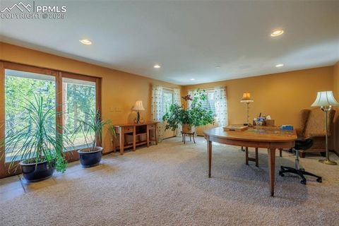 Tiny photo for 100 Yale Place, Woodland Park, CO 80863 (MLS # 1695350)