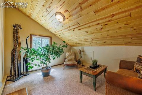 Tiny photo for 100 Yale Place, Woodland Park, CO 80863 (MLS # 1695350)