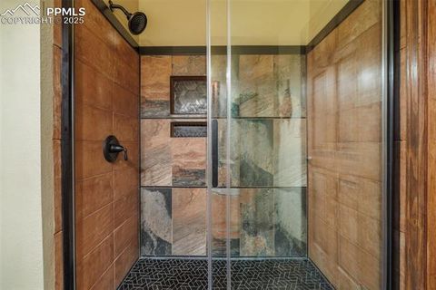 Tiny photo for 100 Yale Place, Woodland Park, CO 80863 (MLS # 1695350)