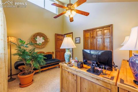 Tiny photo for 100 Yale Place, Woodland Park, CO 80863 (MLS # 1695350)