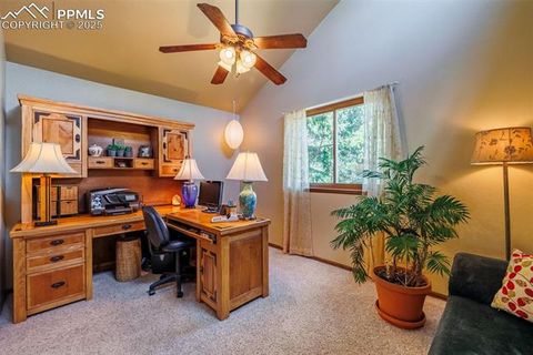 Tiny photo for 100 Yale Place, Woodland Park, CO 80863 (MLS # 1695350)