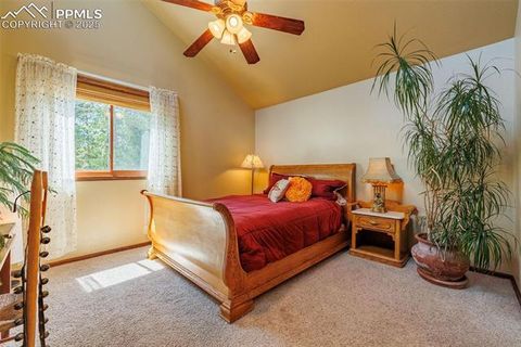Tiny photo for 100 Yale Place, Woodland Park, CO 80863 (MLS # 1695350)