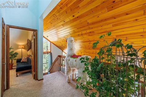 Tiny photo for 100 Yale Place, Woodland Park, CO 80863 (MLS # 1695350)