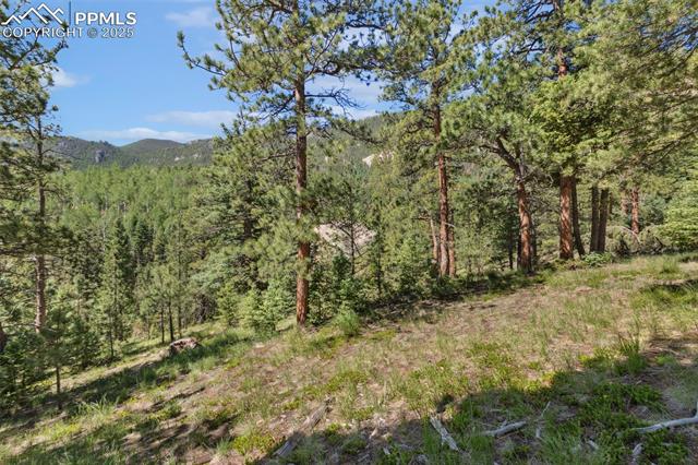 6050 Coffee Pot Road