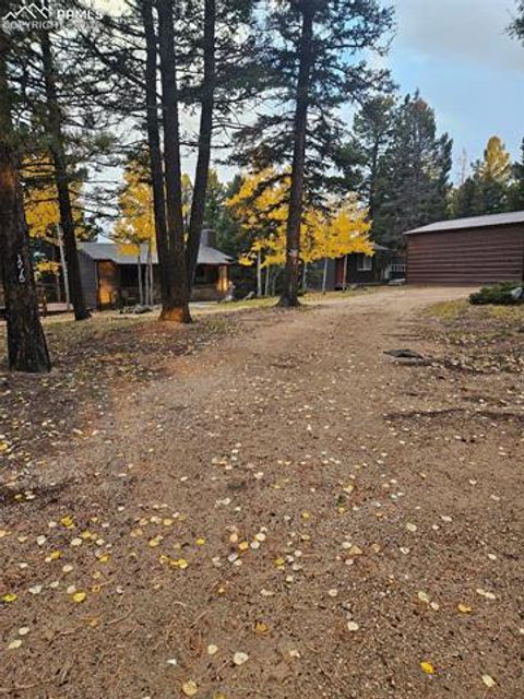 Tiny photo for 1275 Blossom Road, Woodland Park, CO 80863 (MLS # 3688311)