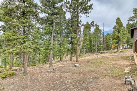 Tiny photo for 1275 Blossom Road, Woodland Park, CO 80863 (MLS # 3688311)