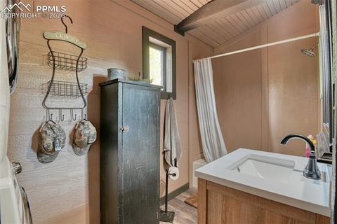 Tiny photo for 1275 Blossom Road, Woodland Park, CO 80863 (MLS # 3688311)
