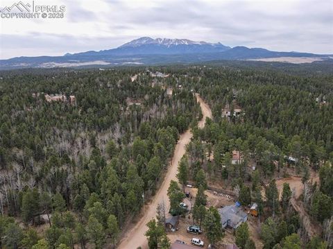 Tiny photo for 1275 Blossom Road, Woodland Park, CO 80863 (MLS # 3688311)