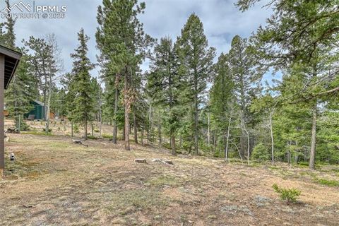 Tiny photo for 1275 Blossom Road, Woodland Park, CO 80863 (MLS # 3688311)