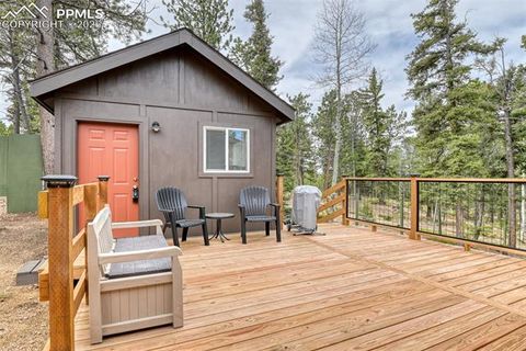 Tiny photo for 1275 Blossom Road, Woodland Park, CO 80863 (MLS # 3688311)