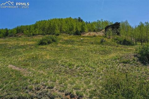 Photo of Unknown, Cripple Creek, CO 80813 (MLS # 4853671)