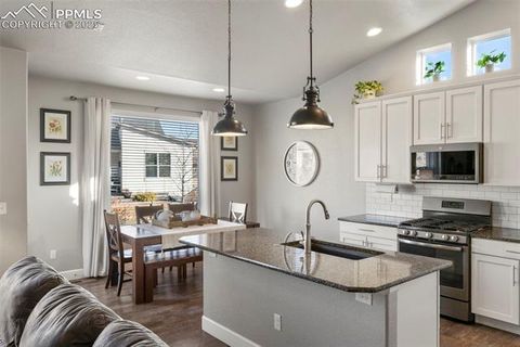 Tiny photo for 5480 Leon Young Drive, Colorado Springs, CO 80924 (MLS # 5280364)