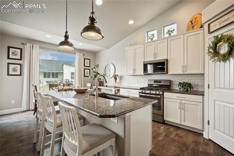Tiny photo for 5480 Leon Young Drive, Colorado Springs, CO 80924 (MLS # 5280364)