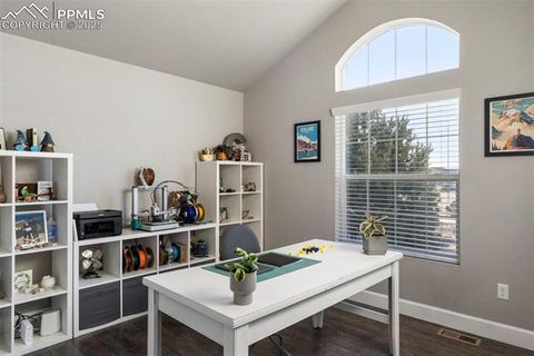 Tiny photo for 5480 Leon Young Drive, Colorado Springs, CO 80924 (MLS # 5280364)