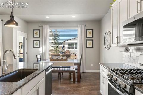 Tiny photo for 5480 Leon Young Drive, Colorado Springs, CO 80924 (MLS # 5280364)