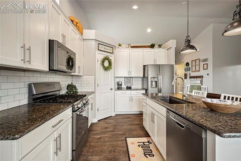 Tiny photo for 5480 Leon Young Drive, Colorado Springs, CO 80924 (MLS # 5280364)