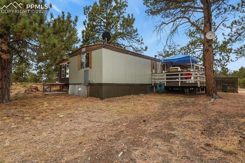 Tiny photo for 957 Arapahoe Drive, Florissant, CO 80816 (MLS # 2073690)