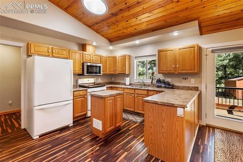 Tiny photo for 234 Wasatch Lane, Florissant, CO 80816 (MLS # 2849950)