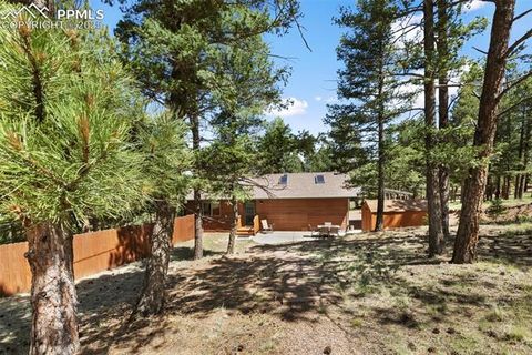 Tiny photo for 234 Wasatch Lane, Florissant, CO 80816 (MLS # 2849950)
