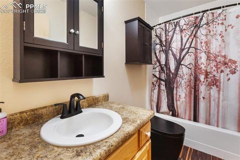 Tiny photo for 234 Wasatch Lane, Florissant, CO 80816 (MLS # 2849950)