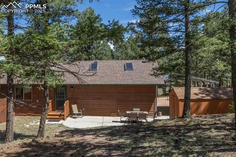 Tiny photo for 234 Wasatch Lane, Florissant, CO 80816 (MLS # 2849950)