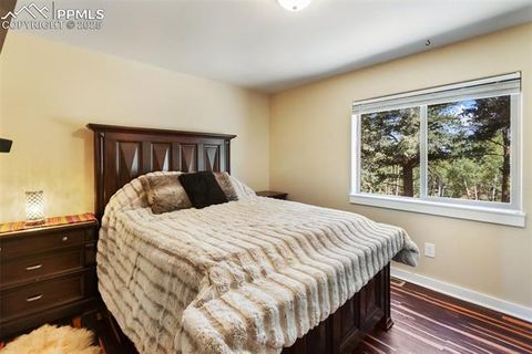 Tiny photo for 234 Wasatch Lane, Florissant, CO 80816 (MLS # 2849950)