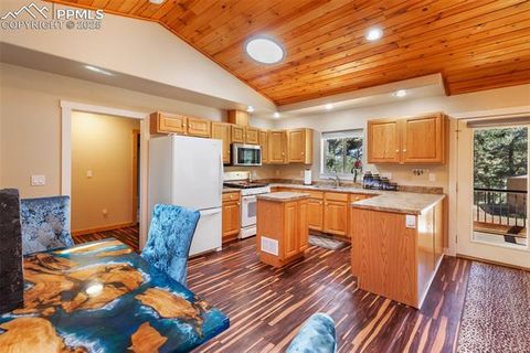Tiny photo for 234 Wasatch Lane, Florissant, CO 80816 (MLS # 2849950)