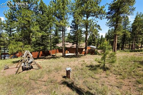 Tiny photo for 234 Wasatch Lane, Florissant, CO 80816 (MLS # 2849950)