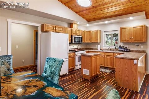 Tiny photo for 234 Wasatch Lane, Florissant, CO 80816 (MLS # 2849950)