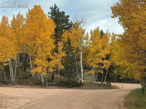 Tiny photo for 234 Wasatch Lane, Florissant, CO 80816 (MLS # 2849950)