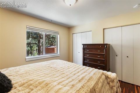 Tiny photo for 234 Wasatch Lane, Florissant, CO 80816 (MLS # 2849950)
