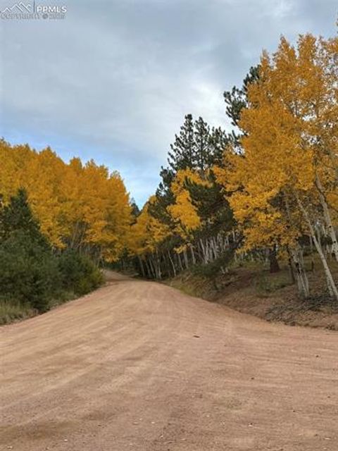 Tiny photo for 234 Wasatch Lane, Florissant, CO 80816 (MLS # 2849950)