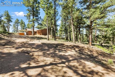 Tiny photo for 234 Wasatch Lane, Florissant, CO 80816 (MLS # 2849950)
