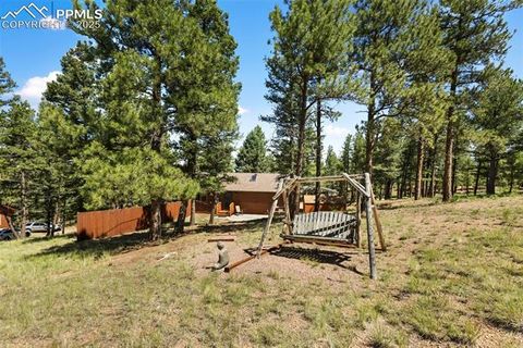 Tiny photo for 234 Wasatch Lane, Florissant, CO 80816 (MLS # 2849950)