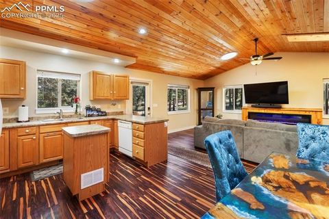Tiny photo for 234 Wasatch Lane, Florissant, CO 80816 (MLS # 2849950)