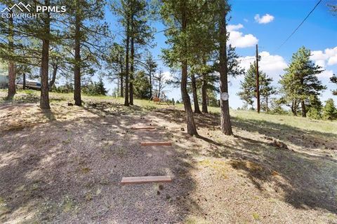 Tiny photo for 234 Wasatch Lane, Florissant, CO 80816 (MLS # 2849950)
