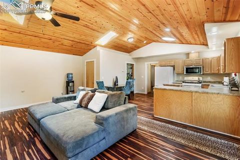 Tiny photo for 234 Wasatch Lane, Florissant, CO 80816 (MLS # 2849950)