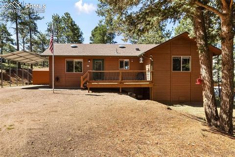 Tiny photo for 234 Wasatch Lane, Florissant, CO 80816 (MLS # 2849950)