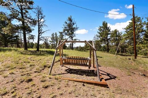 Tiny photo for 234 Wasatch Lane, Florissant, CO 80816 (MLS # 2849950)