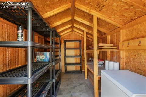 Tiny photo for 234 Wasatch Lane, Florissant, CO 80816 (MLS # 2849950)
