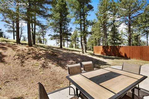 Tiny photo for 234 Wasatch Lane, Florissant, CO 80816 (MLS # 2849950)