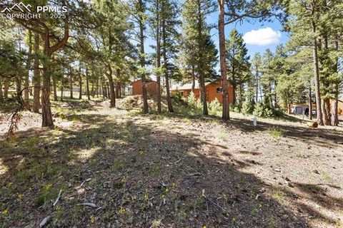 Tiny photo for 234 Wasatch Lane, Florissant, CO 80816 (MLS # 2849950)