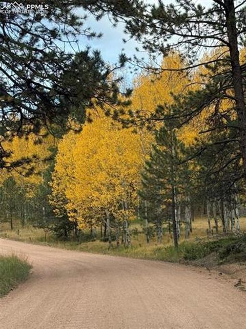 Tiny photo for 234 Wasatch Lane, Florissant, CO 80816 (MLS # 2849950)