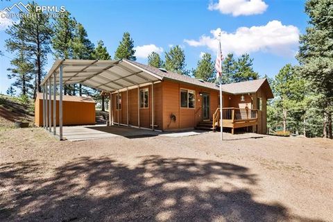 Photo of 234 Wasatch Lane, Florissant, CO 80816 (MLS # 2849950)
