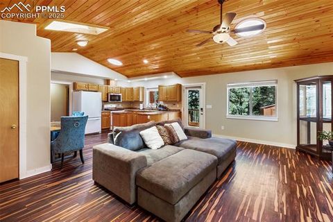 Tiny photo for 234 Wasatch Lane, Florissant, CO 80816 (MLS # 2849950)