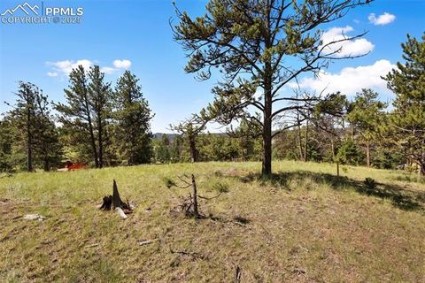 Tiny photo for 234 Wasatch Lane, Florissant, CO 80816 (MLS # 2849950)